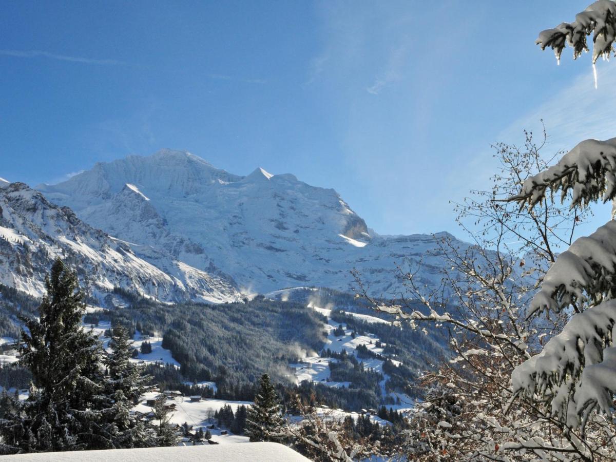 Apartment Plein Soleil By Interhome Wengen Esterno foto